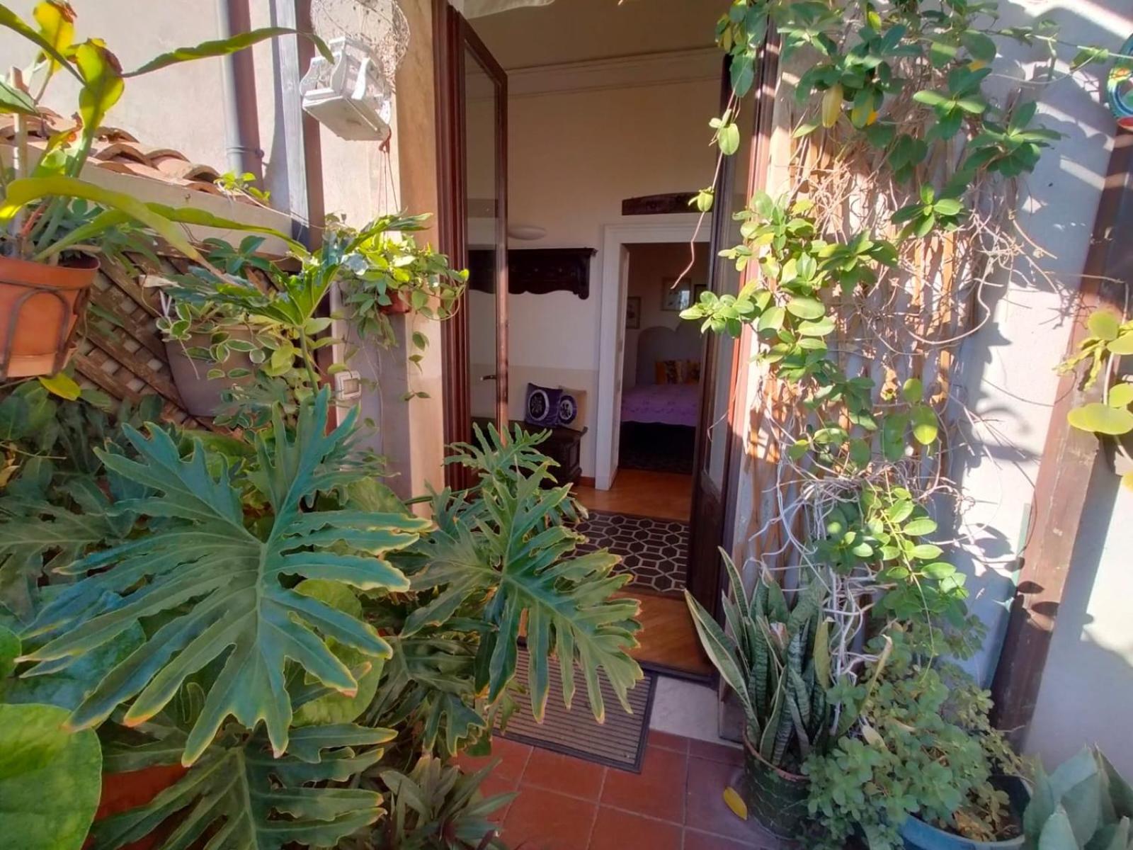 Crociferi B&B カターニア エクステリア 写真