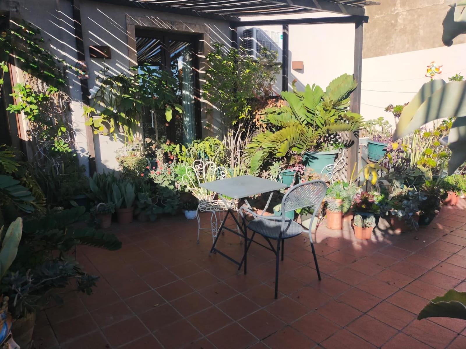 Crociferi B&B カターニア エクステリア 写真